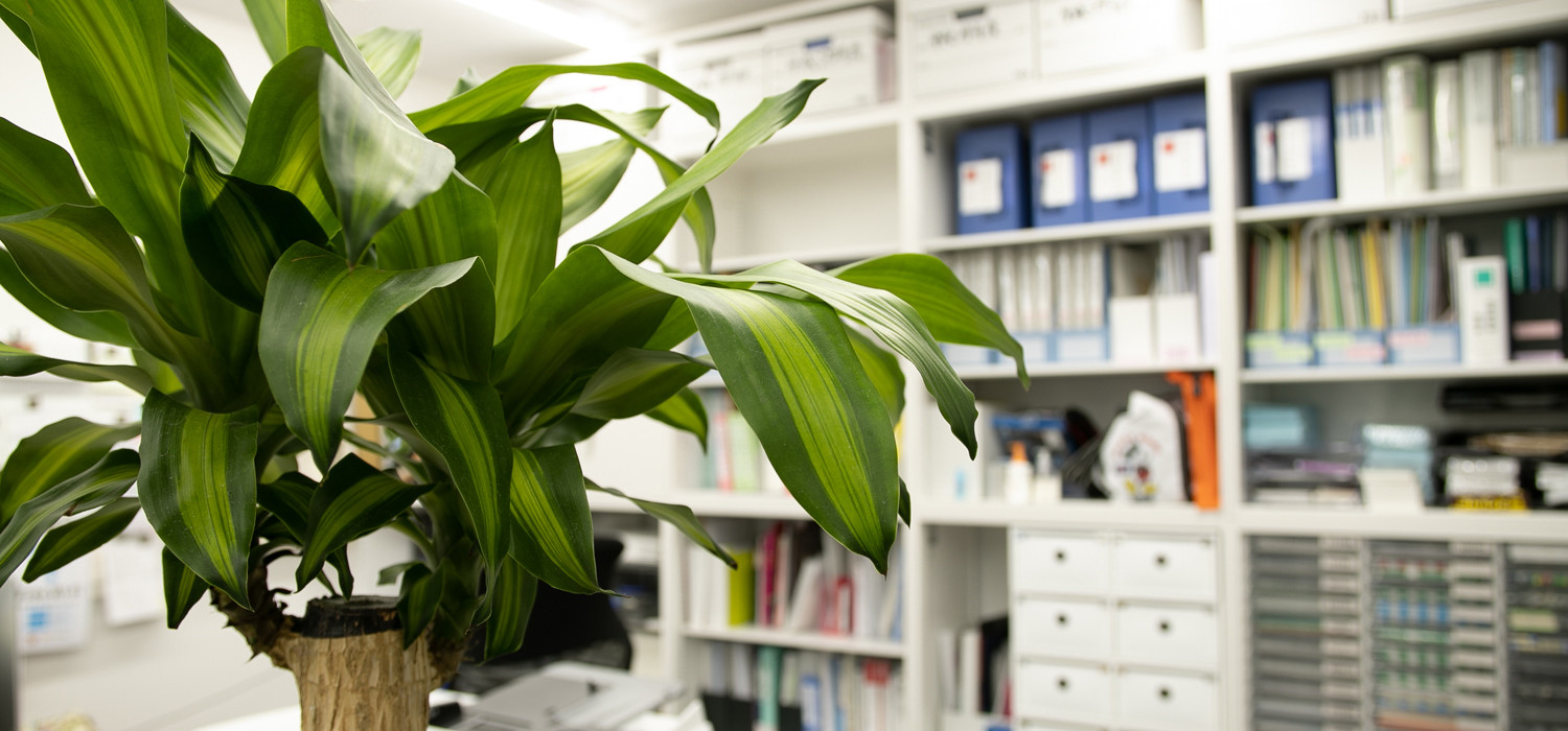 株式会社ノーブルワークス